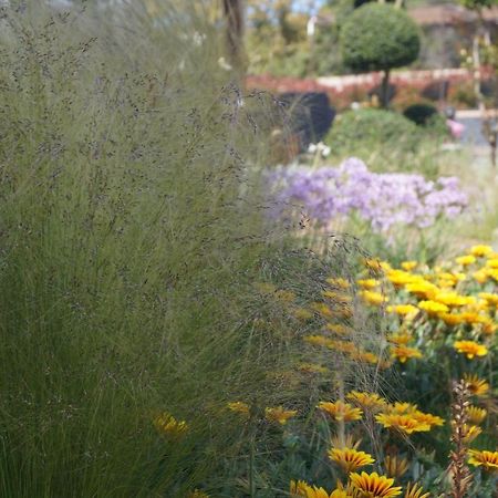 Les Jardins De Santa Giulia - Charmante Chambre D'Hote Porto-Vecchio  Bagian luar foto