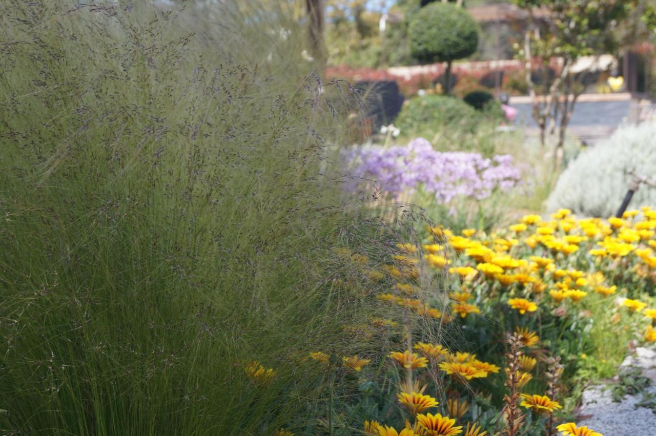 Les Jardins De Santa Giulia - Charmante Chambre D'Hote Porto-Vecchio  Bagian luar foto